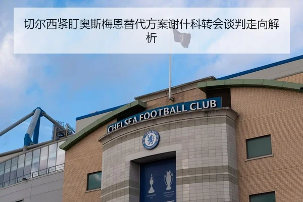 切尔西紧盯奥斯梅恩替代方案谢什科转会谈判走向解析（kaiyun）
