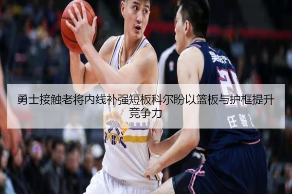 勇士接触老将内线补强短板科尔盼以篮板与护框提升竞争力